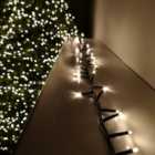 500 LED 12.5m Premier TreeBrights Indoor Outdoor Christmas Multi Function Mains Operated String Lights with Timer in Warm White