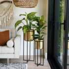 Calla Plant Pot With Stand