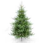 7' Portmagee Pine Artificial PE Christmas Tree By The Christmas Centre
