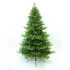 6' Boston Green Spruce Artificial PE Christmas Tree By The Christmas Centre