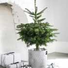 Indoor Zinc Christmas Tree Bucket 23cm