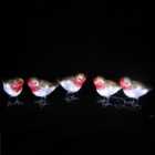 Christmas Soft Acrylic Set of 5 Robins with 40 Cool White Static LED Lights