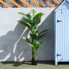 Living and Home 150cm Artificial Tropical Plant + Flowerpot