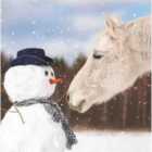 Snowman & Horse Christmas Card