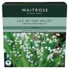 Waitrose Lily of the Valley Roots, 5Each