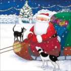 Father Christmas with Cat & Dog Card