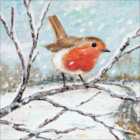 RSPB Charity Christmas Card Pack 20 per pack