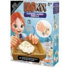 Robbie Toys Dig Kit Coquillages Shells