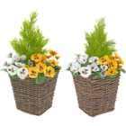 GreenBrokers Artificial Yellow and White Pansies Dark Rattan Planters 60cm 2 Pack