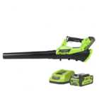 Greenworks 40V Cordless Axial Blower Kit with 2Ah Battery