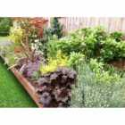 Garden On A Roll Mixed Sunny Border Pack 7m x 60cm