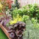 Garden On A Roll Mixed Sunny Border Pack 3m x 90cm