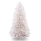 Dunhill White Fir 6ft Tree (also available as a 7ft option)