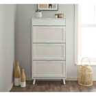 Lloyd Pascal Rainford Shoe Cabinet With 1 Drawer And 3 Dropdown Doors