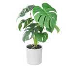 EGLO Tobetsu Artificial Swiss Cheese Plant With Grey Plastic Pot
