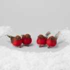 Morrisons Robin Tree Christmas Decoration Clips