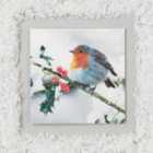 Morrisons Square Photographic Robin Christmas Cards 10 per pack