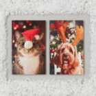 Morrisons Mini Photographic Pet Cards 10 per pack