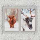 Morrisons Mini Winter Animals Christmas Cards 10 per pack
