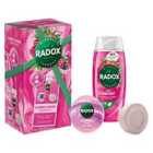 Radox Gift Set Cleanse & Revive With Shower Steamer