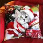 Cat 18" Christmas Cushion