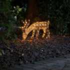 Warm white LED Brown Grazing stag Single Christmas light (H) 410mm