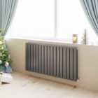 Sky Bathroom Anthracite Radiator Central Heating Rads Double 600x1156mm Flat Panel