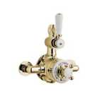 BC Designs Victrion Twin Exposed Valve Gold
