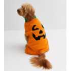 Bright Orange Halloween Pumpkin Dog Jumper