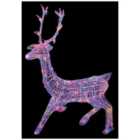 Premier - Multi Coloured LED Christmas Soft Acrylic Stag, 1.4m