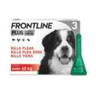 FRONTLINE Plus Flea & Tick Treatment XL Dog 40-60kg 3 per pack
