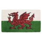 JVL Latex Coir Welsh Dragon Doormat 40 x 70cm