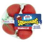 Munch Bunch Strawberry Squashums 5 x 60g