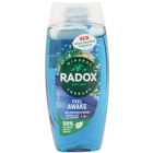 Radox Mineral Therapy Blue Feel Awake 2 in 1 Shower Gel and Shampoo 225ml