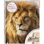 Hinkler Paint by Numbers Lion Canvas Kit