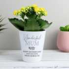 Personalised Message Plant Pot