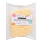 Colour Company Face Cleansing Sponge