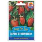 Alpine Strawberry Seed Packet