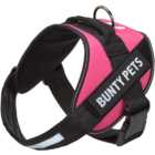 Bunty Yukon Medium Pink Pet Harness