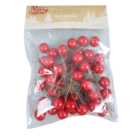 Pack of 45 Berry Picks - Red