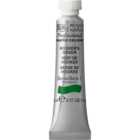 Winsor and Newton 5ml Professional Watercolour Paint - Hookers Green