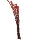 Pussywillow Bunch - Red