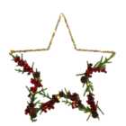LED Hanging Floristry Star - Red