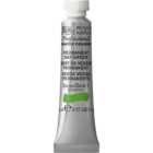 Winsor and Newton 5ml Professional Watercolour Paint - Permanent Sap Green