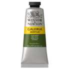 Winsor and Newton 60ml Galeria Acrylic Paint - Olive Green