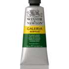 Winsor and Newton 60ml Galeria Acrylic Paint - Hookers Green