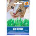 Cat Grass Seed Packet