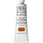 Winsor and Newton 37ml Artists' Oil Colours - Burnt Sienna