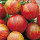 Wilko Tomato Tigerella Seeds