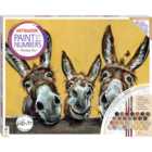 Hinkler Paint by Numbers Donkey Trio Canvas Kit